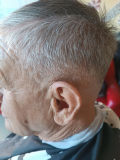 profile-image-8