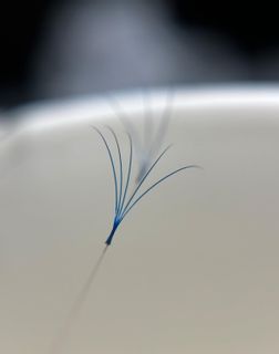 profile-image-8