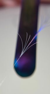 profile-image-9
