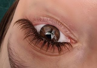 profile-image-7
