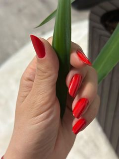 profile-image-38