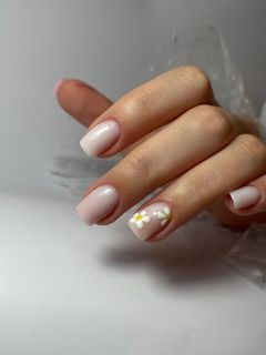 profile-image-12