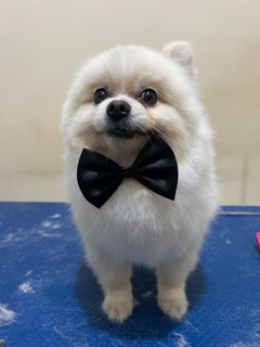profile-image-0