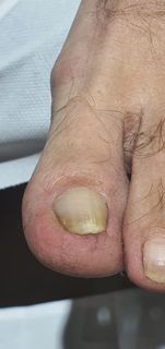 profile-image-8