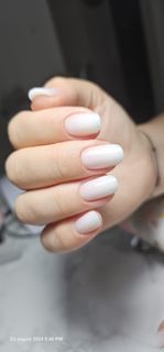 profile-image-8