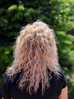 profile-image-17