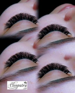 profile-image-227