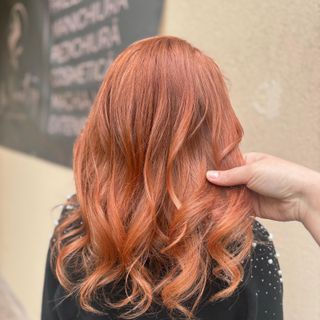 profile-image-13