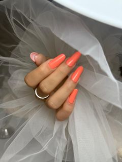 profile-image-8