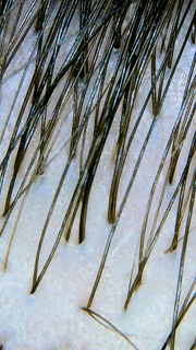 profile-image-14