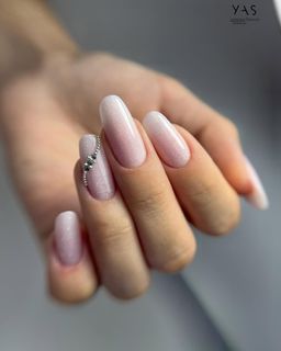 profile-image-7
