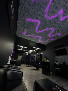 profile-image-12