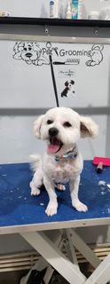 profile-image-21