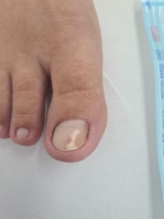 profile-image-16