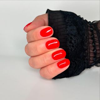 profile-image-12