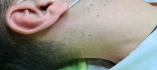 profile-image-13