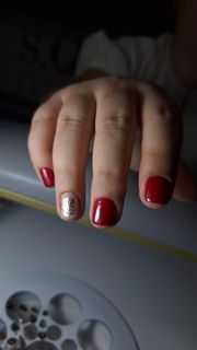 profile-image-49