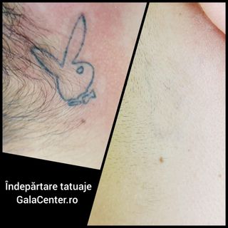 profile-image-12