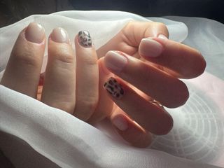 profile-image-5