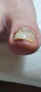 profile-image-29
