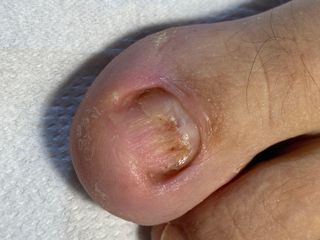 profile-image-38