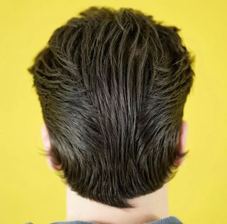 profile-image-17