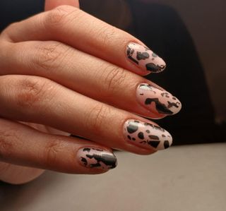 profile-image-85