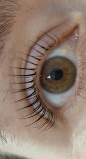 profile-image-65