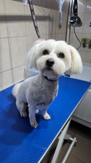 profile-image-5