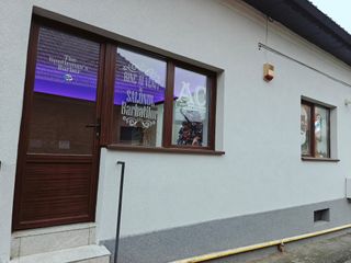 profile-image-5