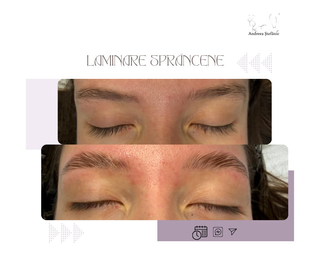 profile-image-35