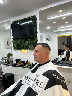 profile-image-12