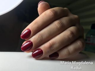 profile-image-7
