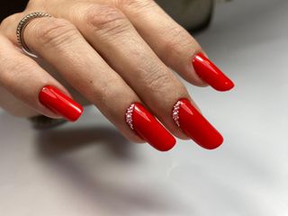 profile-image-12