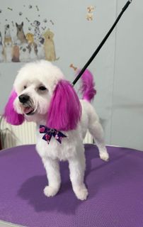 profile-image-1