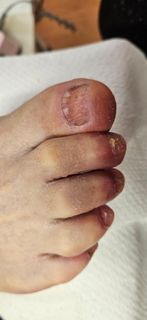 profile-image-39