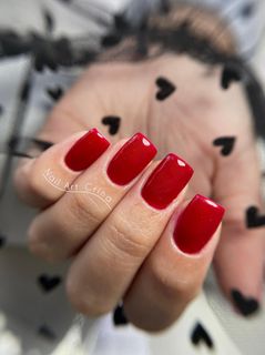 profile-image-13