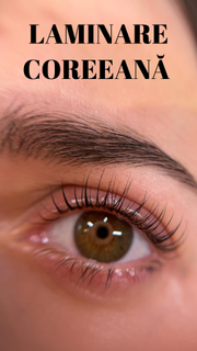profile-image-12