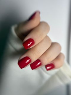 profile-image-55
