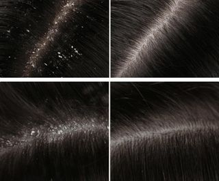 profile-image-7