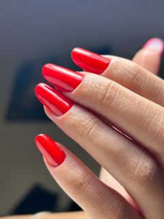 profile-image-12