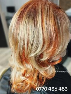 profile-image-39