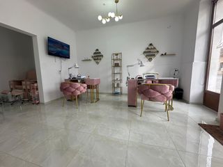 profile-image-15