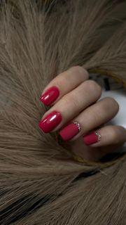 profile-image-8