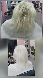 profile-image-12