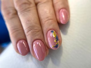 profile-image-12