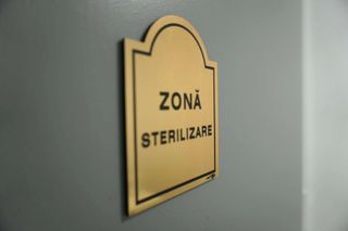 profile-image-12