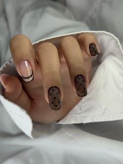 profile-image-12