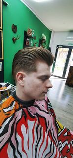 profile-image-8