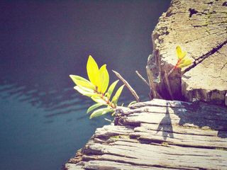 profile-image-25